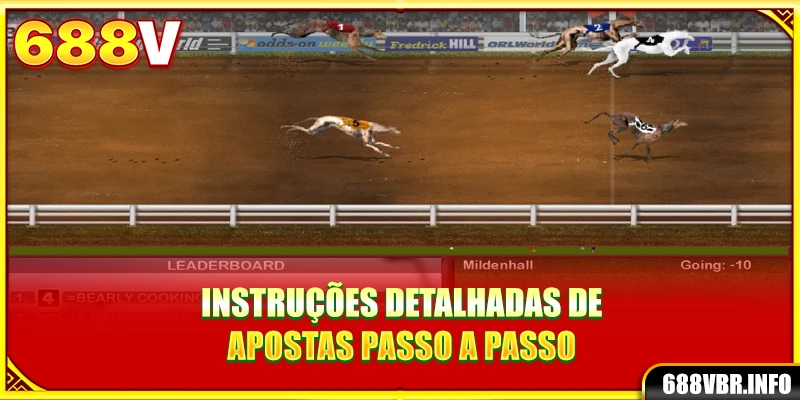 Instruções detalhadas de apostas passo a passo