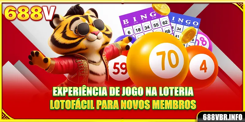 Experiência de jogo na loteria Lotofácil para novos membros